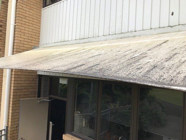 South Brisbane Mould Removal
