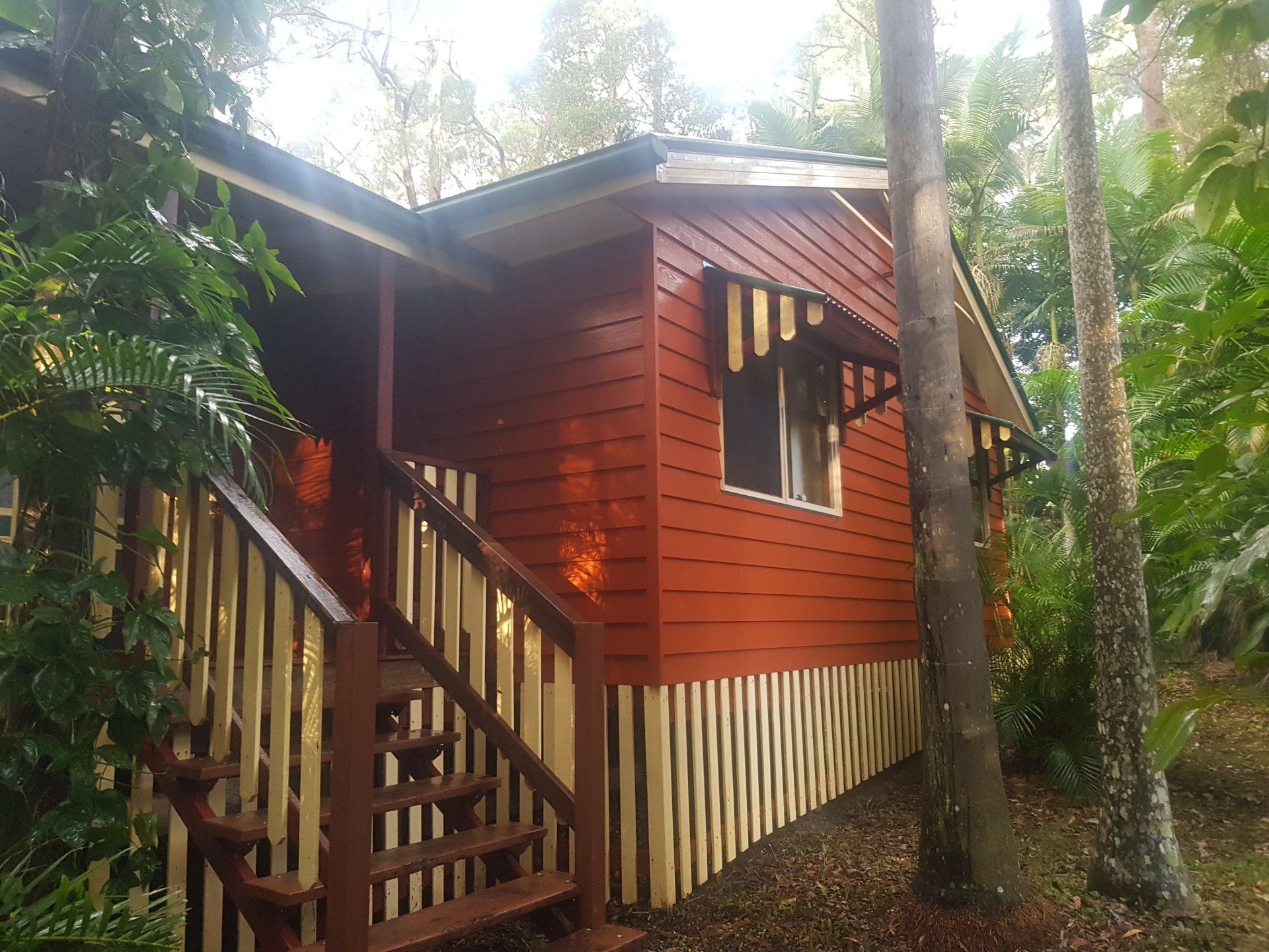 South Brisbane Mould Removal