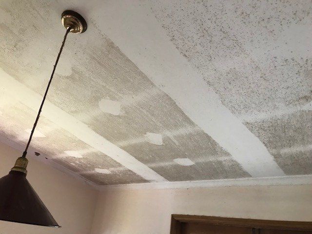 South Brisbane Mould Removal