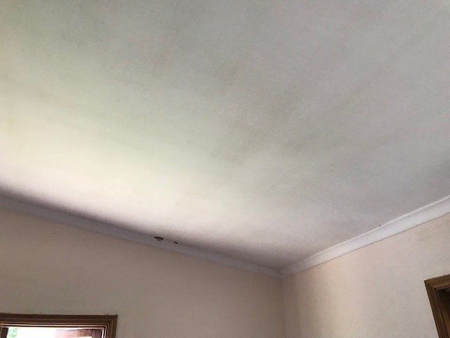 South Brisbane Mould Removal