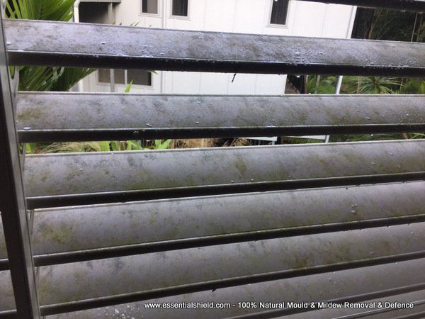 South Brisbane Mould Removal