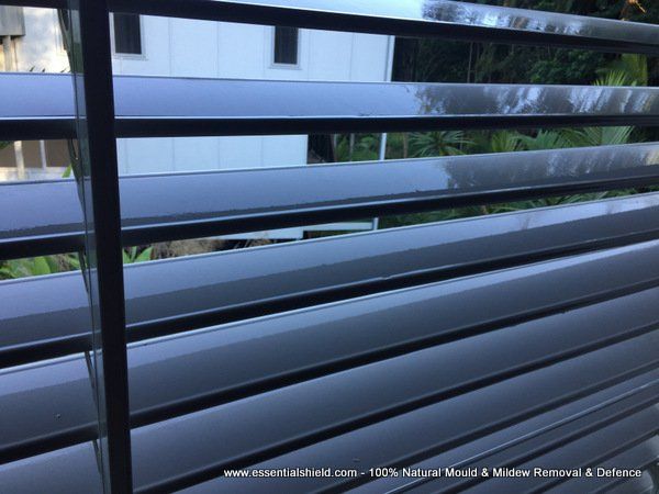 South Brisbane Mould Removal