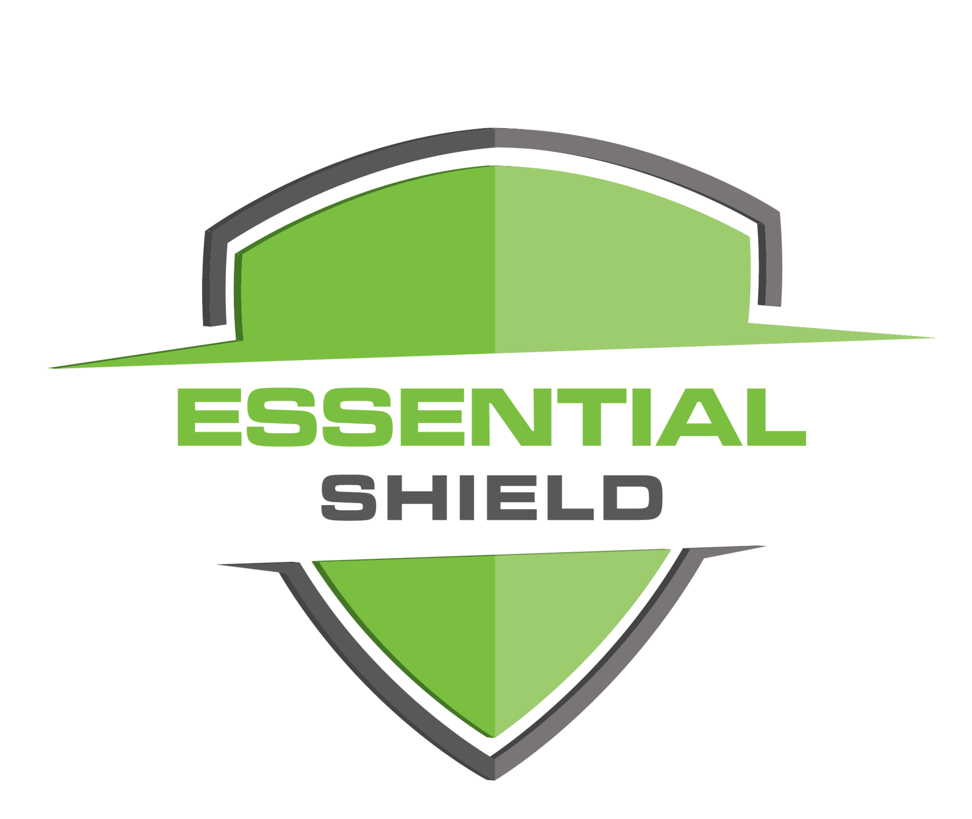 Brisbane South Mould Removal Service