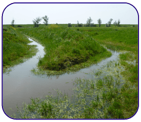 All projects are welcome. Call on 01983 875743 Open land ready for development.