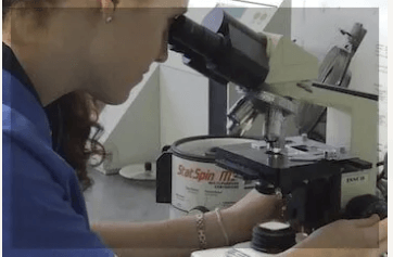 A Woman in a Blue Lab Coat Looks Into a Microscope — University Avenue Veterinary Hospital in Durack, NT