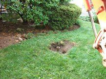 Tank Inspection — Westchester County, PA — Northeast Environmental Oil tank removal services in progress in Bedford, NY