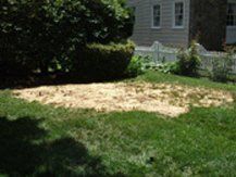 Site Backfilled — Westchester County, PA — Northeast Environmental Site Backfilled — Westchester County, PA — Northeast Environmental