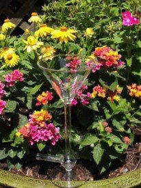 Bottle for Autopathy — Acupuncture in Millis, MA Bottle for Autopathy — Acupuncture in Millis, MA