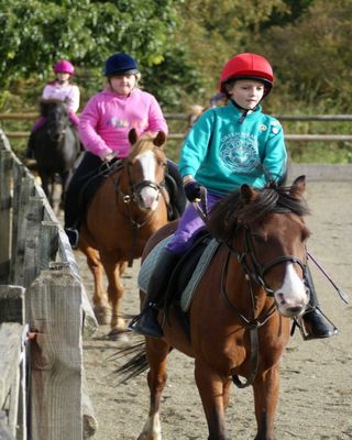 Horse rising lessons