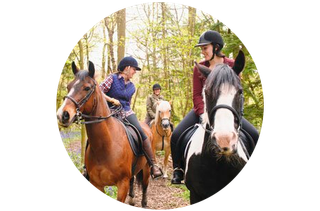 three horses with their riders in a forest