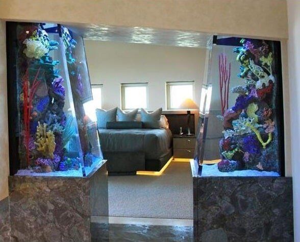 video poker aquarium video poker aquarium