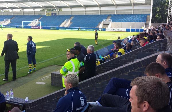 sports security services example 4