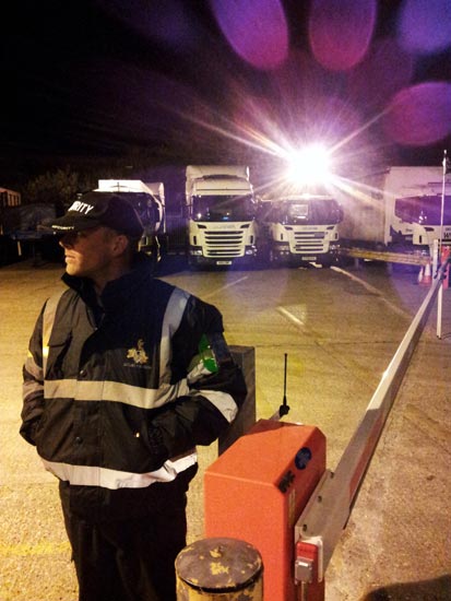 commercial security services example 4