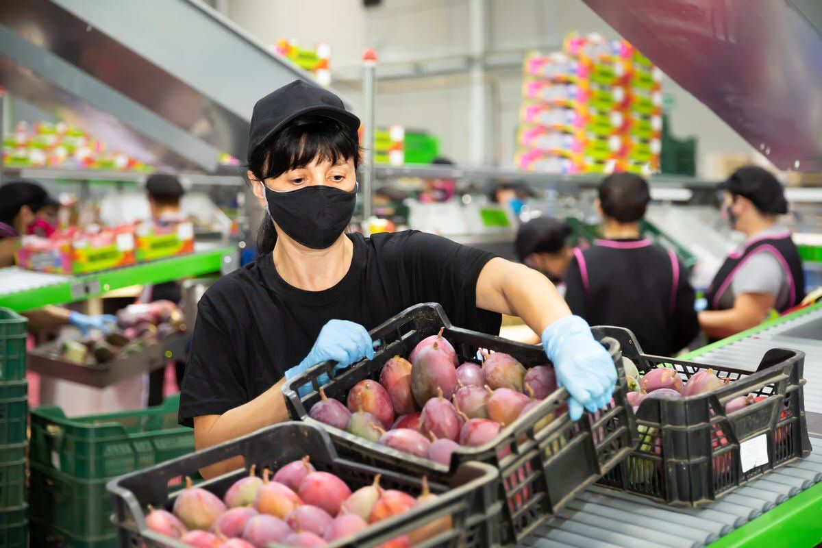 employee wearing a mask for safety during COVID.