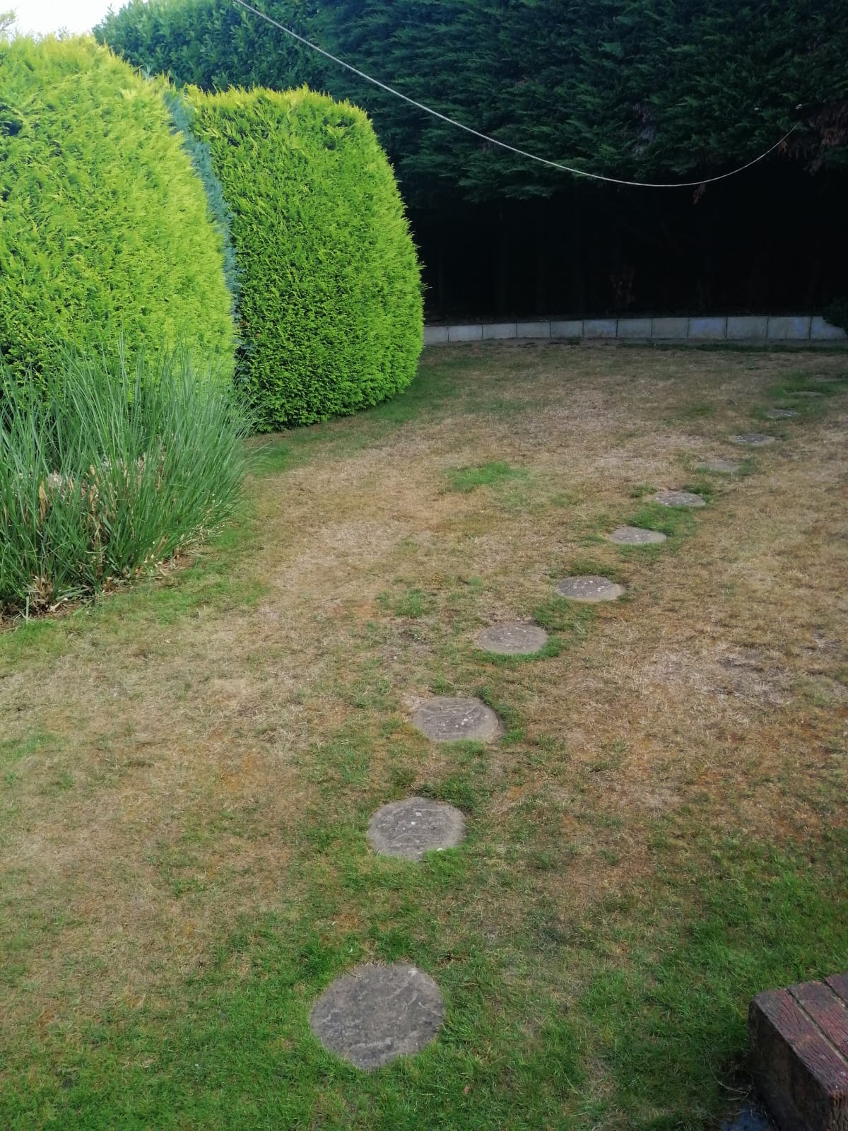 Turfing 3