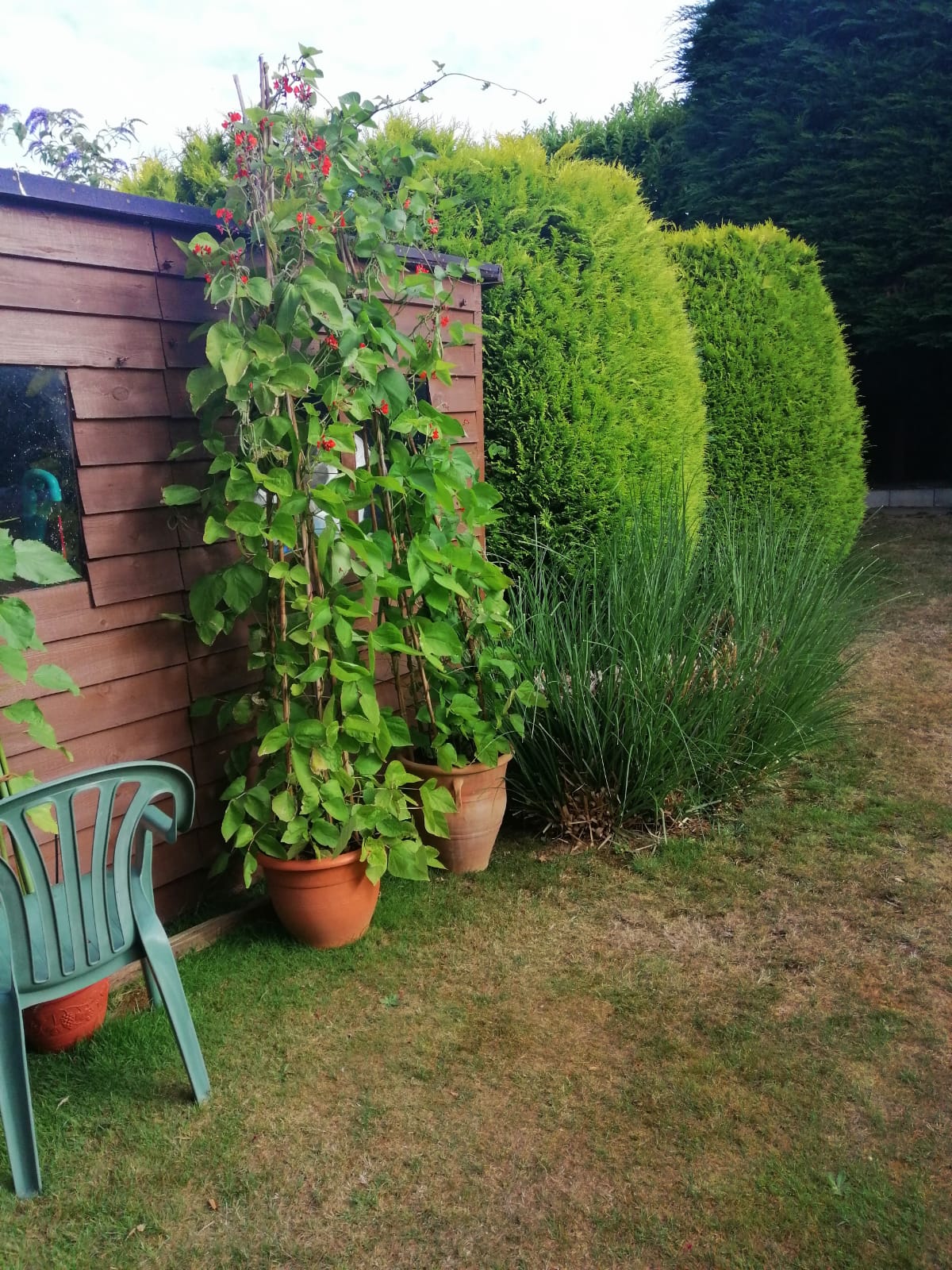 Turfing 4