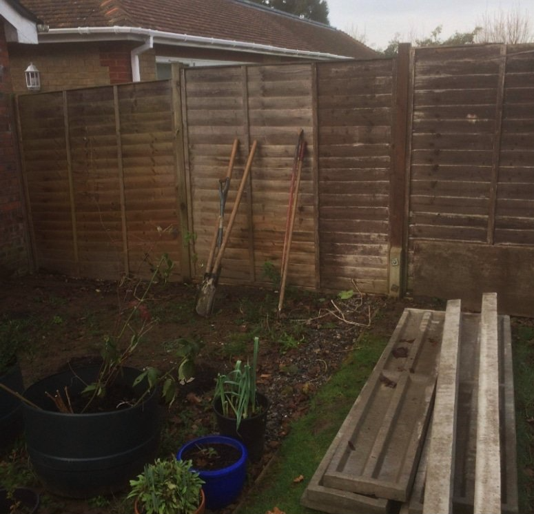 Before image