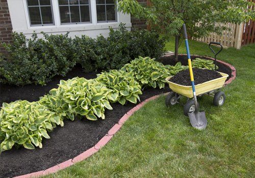 Gardening