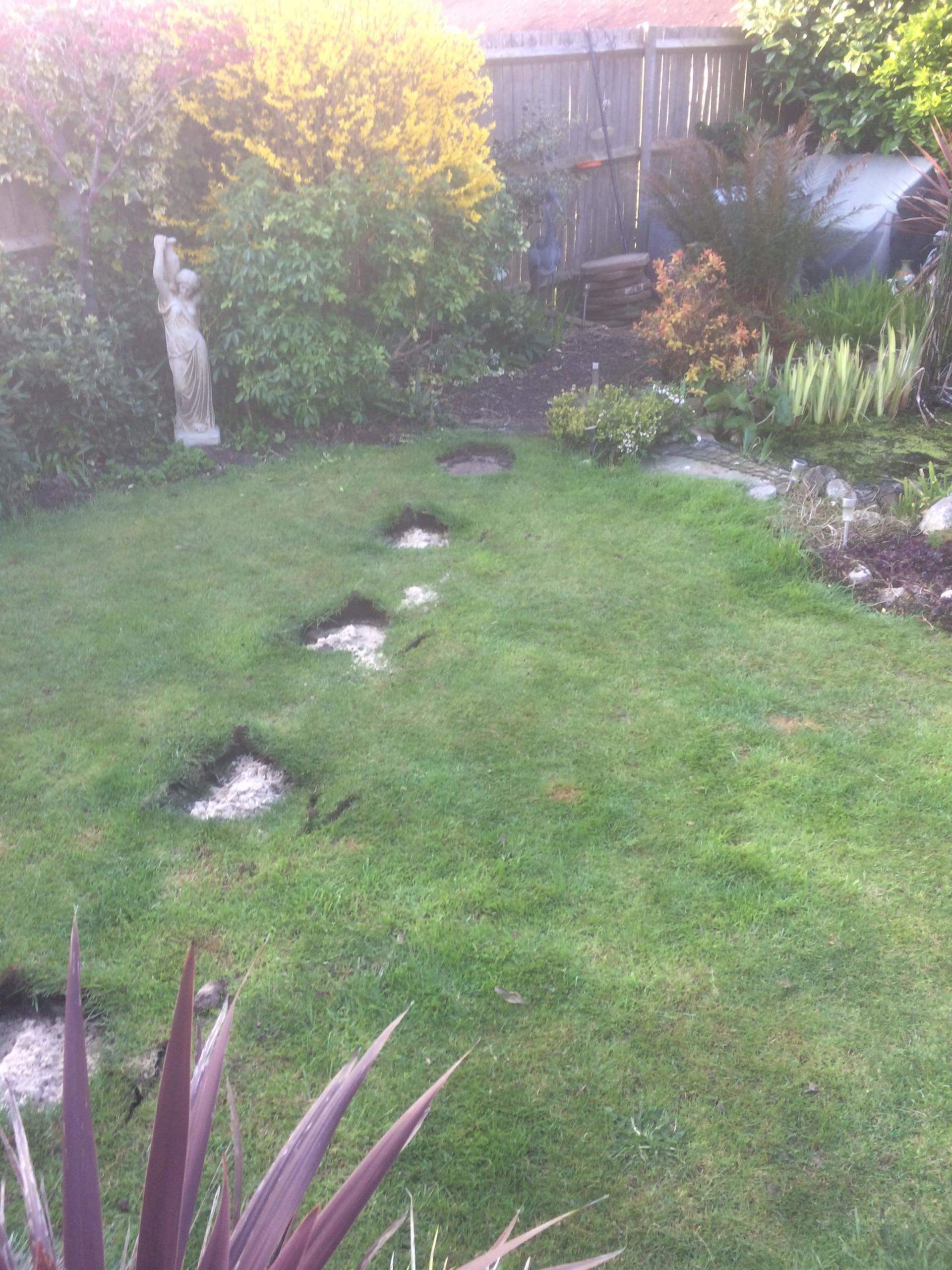 Turfing 2