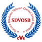 Service Disabled Veteran Owned Small Business logo
