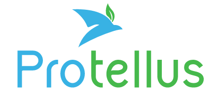 Protellus Toronto Digital Marketing Agency logo