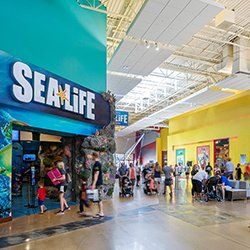 Grapevine Mills Mall