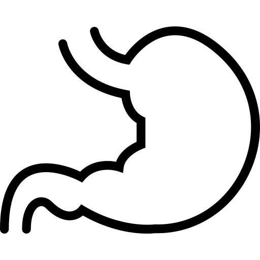 A line drawing of a person 's stomach free icon