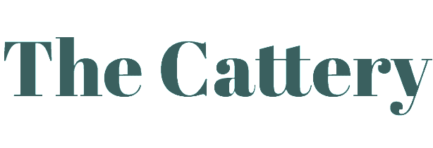 the cattery