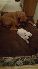 Sharing