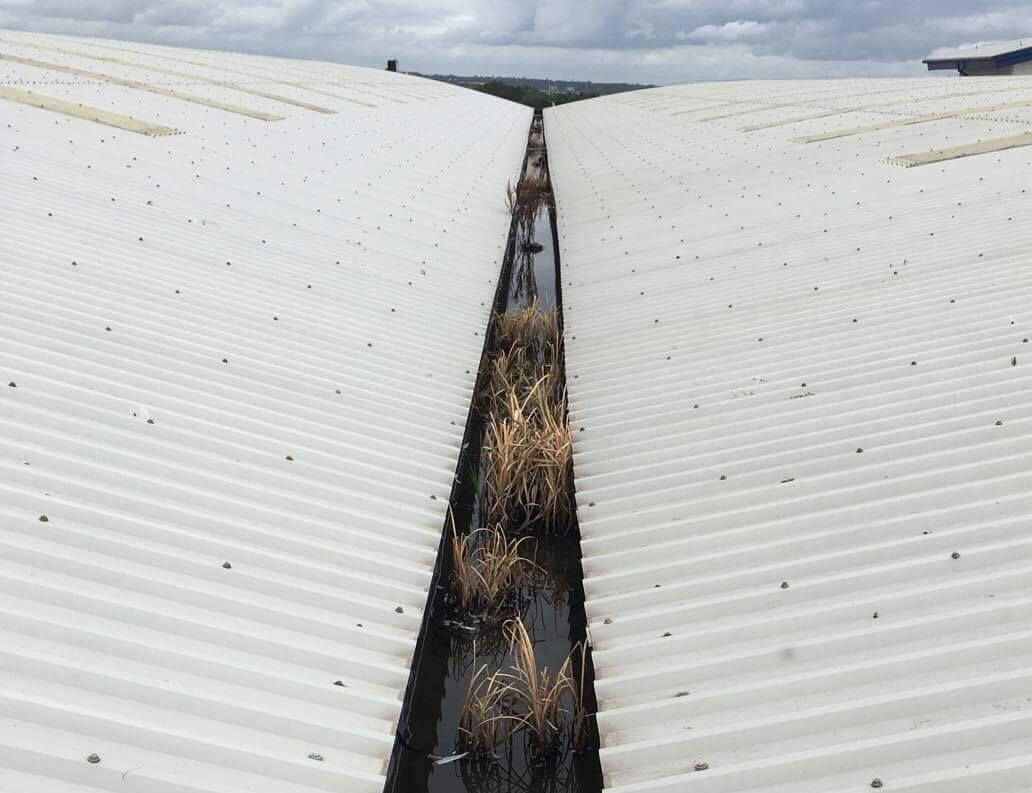 industrial gutter cleaning