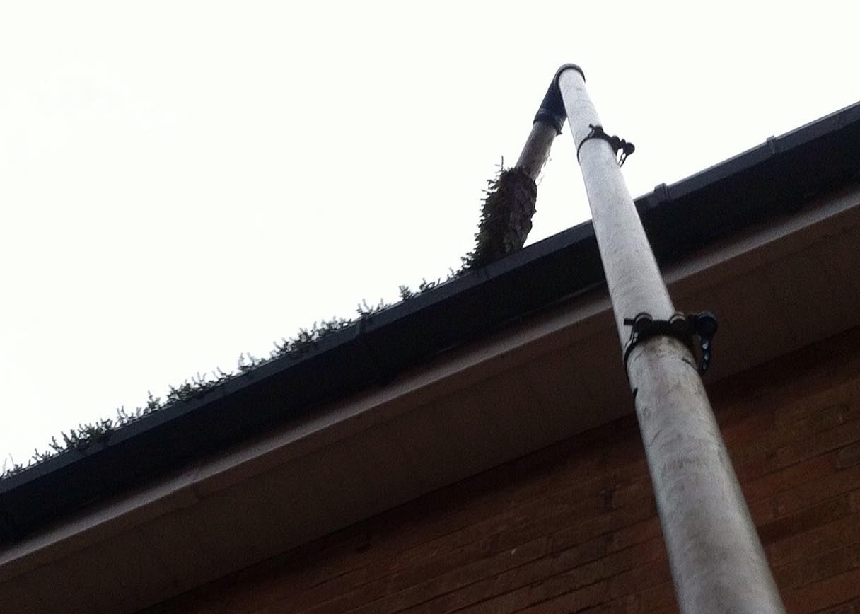gutter cleaning
