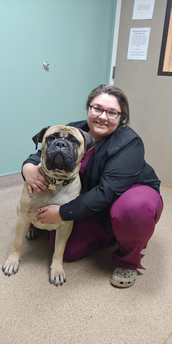 A woman is kneeling down next to a dog in a room.