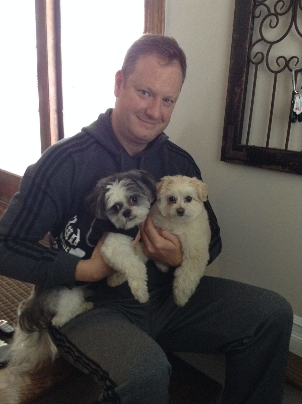 A person sitting indoors, smiling at the camera while holding two small dogs on their lap.