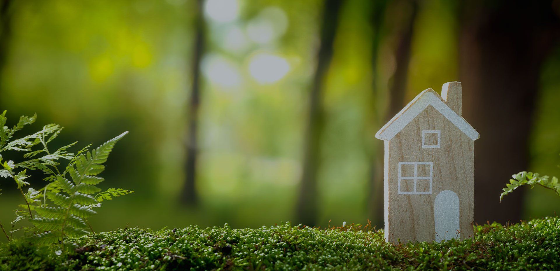 Is it possible to build an eco home on a budget? Mesh Energy explains