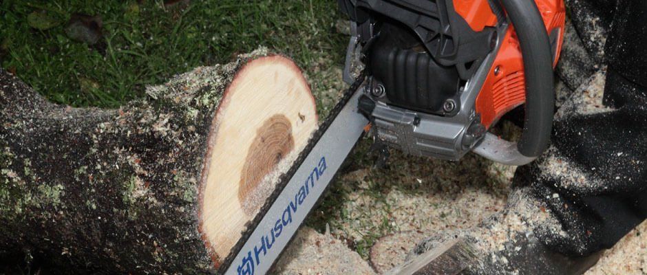 Blackwood Chainsaws Blackwood Chainsaws