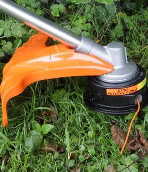 Blackwood Chainsaws Blackwood Chainsaws