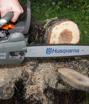 Blackwood Chainsaws Blackwood Chainsaws