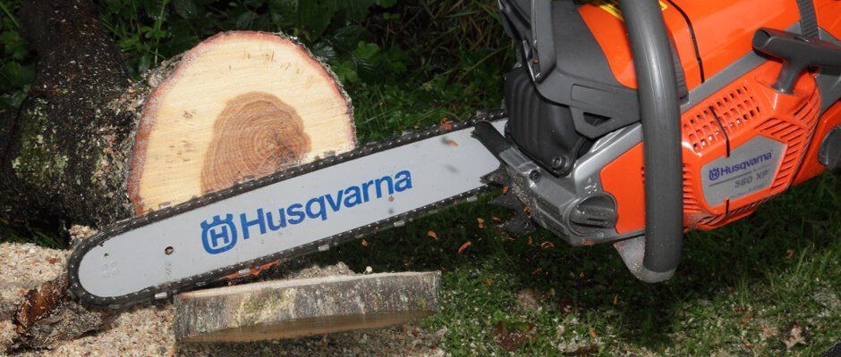 Blackwood Chainsaws Blackwood Chainsaws