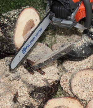 Blackwood Chainsaws Blackwood Chainsaws