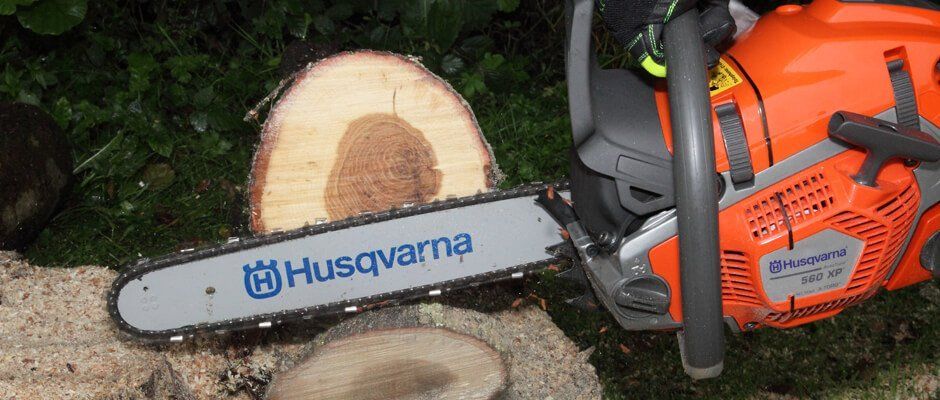 Blackwood Chainsaws Blackwood Chainsaws