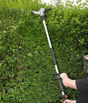 Blackwood Chainsaws