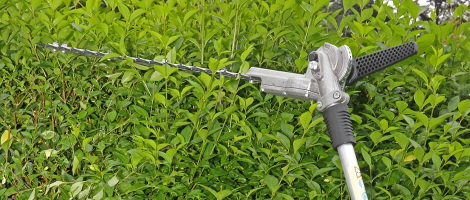 Blackwood Chainsaws