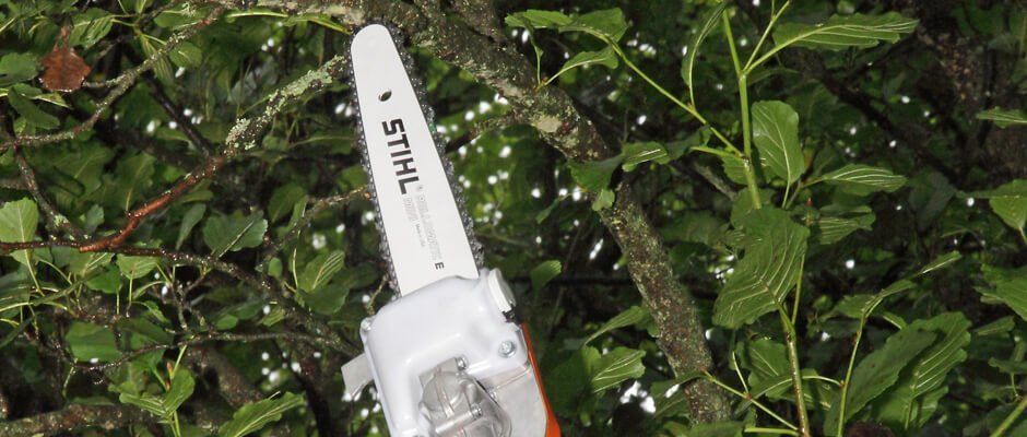 Blackwood Chainsaws Blackwood Chainsaws