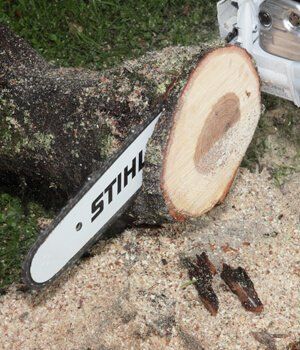 Blackwood Chainsaws Blackwood Chainsaws