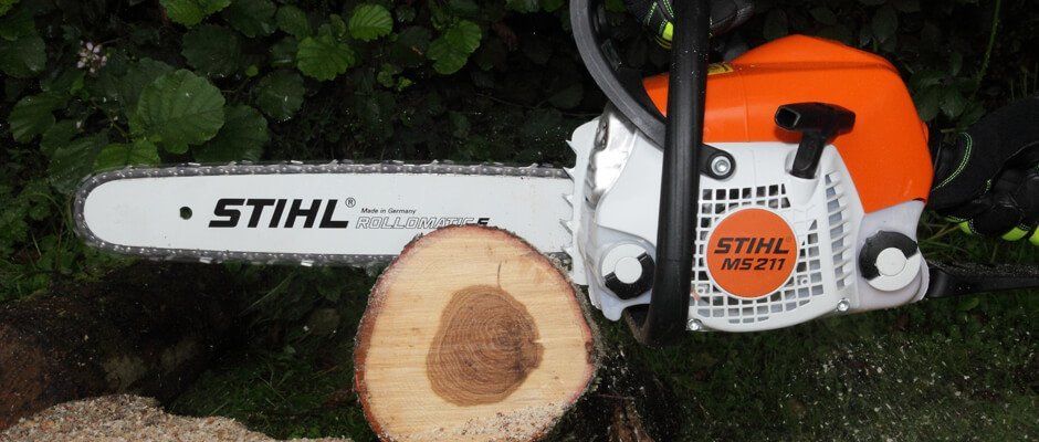 Blackwood Chainsaws Blackwood Chainsaws