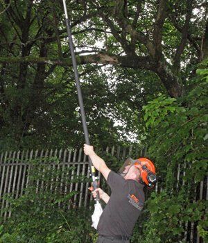 Blackwood Chainsaws Blackwood Chainsaws