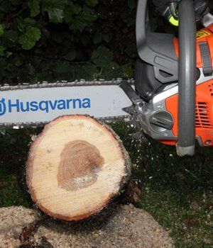 Blackwood Chainsaws Blackwood Chainsaws