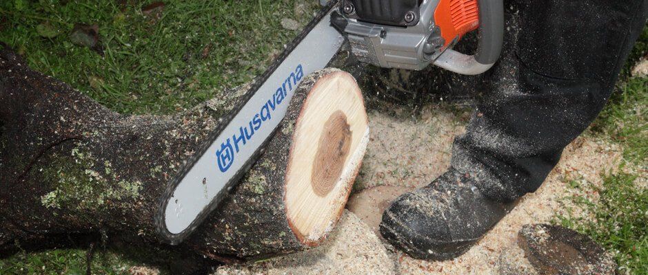 Blackwood Chainsaws Blackwood Chainsaws