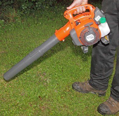 Blackwood Chainsaw - Gallery 4