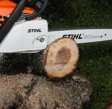 Blackwood Chainsaw - Gallery 7